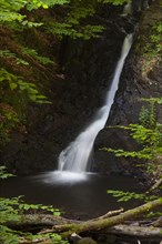 The Forsakar Waterfalls