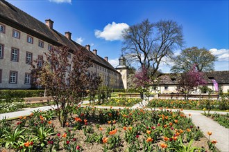 Tulip beds in the Remtergarten with a view of Corvey Castle