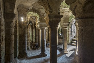 Columns in the 12th century Romanesque crypt under the St Vincent's chapel at Chateau de Tiffauges