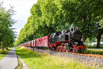 Steam train of the Baederbahn Molli railway Steam locomotive in Bad Doberan