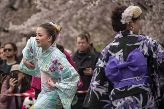Japanese Cherry Blossom Festival Sakura
