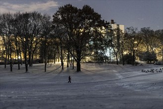 A person walks through the Volkspark Wilmersdorf after a light snow storm in Berlin