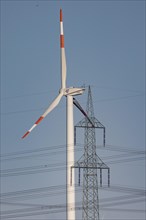 A wind turbine and a high-voltage pylon stand out near Luckau