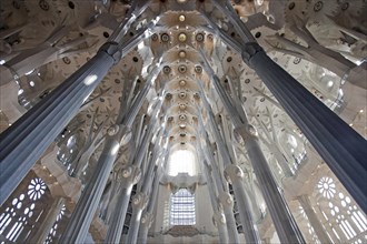 The Basilica Sagrada Familia designed by the Catalan architect Antoni Gaudi