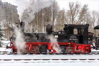 Steam train of the Pressnitztalbahn railway Steam locomotive in winter in Steinbach