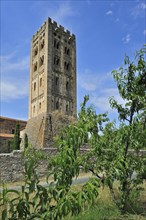 Almond tree in orchard and the Saint-Michel-de-Cuxa abbey