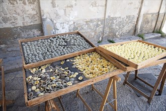 Orechiette pasta drying on wooden trays