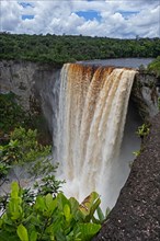 Kaieteur Falls on the Potaro River in the Kaieteur National Park