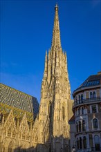 The south tower of St. Stephen's Cathedral in the evening light