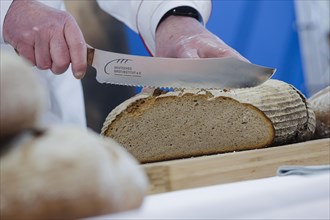 Symbol photo German Bread Institute. A bread knife cuts a slice of bread from a stone oven loaf. Berlin