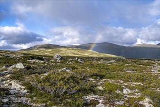 Landscape in the Fjell with rainbow