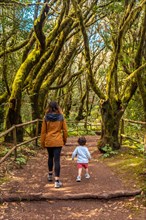 Mother and son walking in the natural park of Garajonay in La Gomera