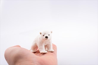Hand holding a Polar bear model