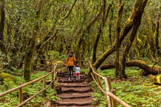 Mother and son trekking up some stairs on a path in the Garajonay natural park on La Gomera