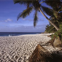 Weisser Traumstrand Anse Victorin