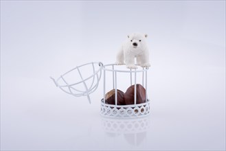 Polar bear c Polar bear near an open cage with chesnut on white background