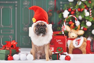 French Bulldog dog with funny Christmas elf costume sitting in front of decorated tree