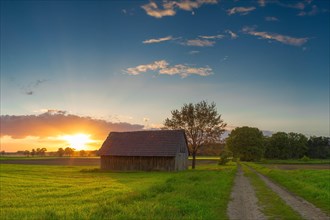 Barn in a meadow by the wayside in the sunset