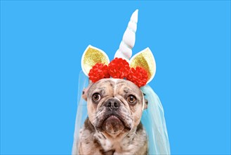 Cute French Bulldog dog with unicorn costume headband with flowers and veil on blue background