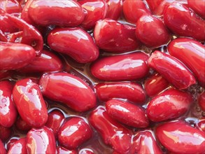 Kidney beans legumes vegetables food