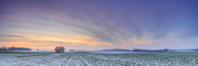 Panorama of a snow-covered field at sunset