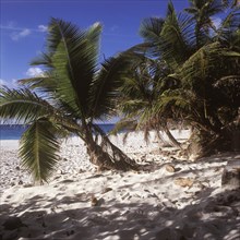 Weisser Traumstrand Anse Victorin
