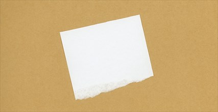 Blank slip of paper