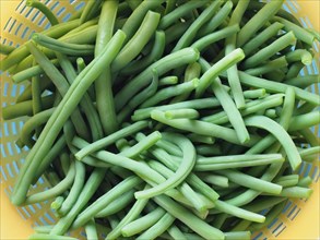 Green string snap beans legumes food