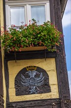 Compartment with carved and painted double-headed eagle on a historic half-timbered house in Hohe Strasse in the old town of Quedlinburg