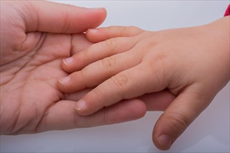 Child and grown up hands together on a white backgkround