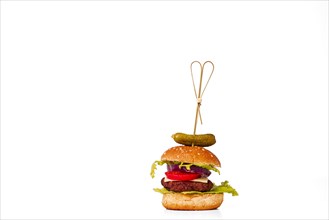 Single small vegetarian hamburger
