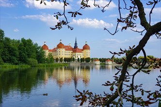 The world-famous Moritzburg Castle near Dresden