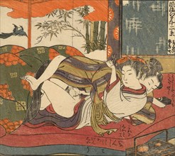 Lovers in bed