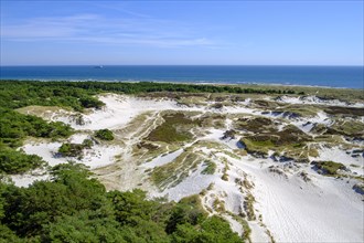 Dune landscape of Dueodde Strand