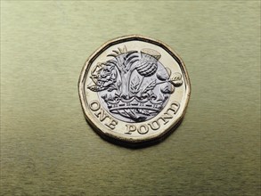 1 pound coin money