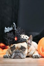French Bulldog dog with Halloween costume witch hat next to carved pumpkin lying down in front of black background