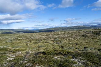 Landscape in the Fjell