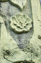 Floral carving on the example of a historic half-timbered building in Bad Frankenhausen