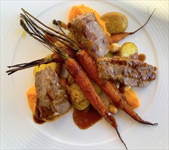 Luxury Plate with Meat and Carrots on a Plate in Switzerland