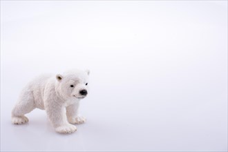 Polar bear model on a white background