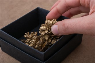 Hand holding a gift box of black color with pine cones in it