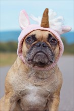 Cute French Bulldog dog dressed up with Halloween costume in shape of pink knitted unicorn hat
