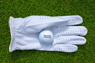 Golf Glove and Ball on the Green Grass