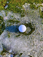 Golf Ball on Fairway Grass with Ice and Sunlight in Lugano