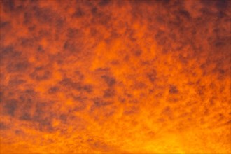 Evening reddish orange cloud structures against blue sky