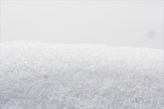 Surface of snow with various traces