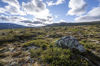 Landscape in the Fjell with Sun Star