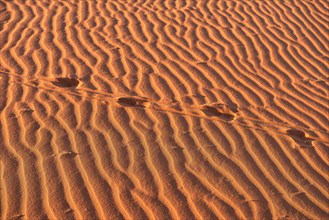 Kalahari Anib Lodge