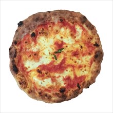 Margherita pizza baked food isolated over white