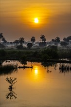 Sunrise in the Casamance